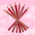 Bourjois Levres Contour Edition Lip Pencil